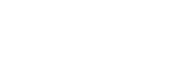 Moviqo, a product of Mega Move India